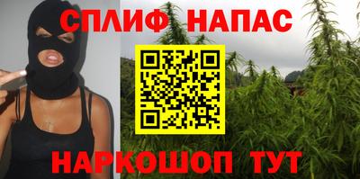 PSILOCYBIN Гай