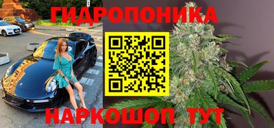 PSILOCYBIN Гай