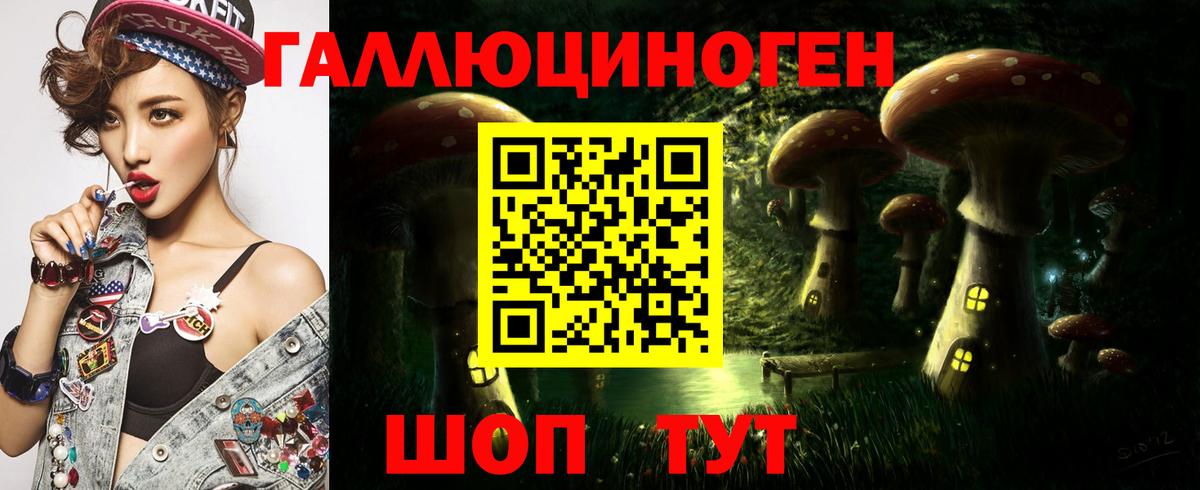 Псилоцибиновые грибы GOLDEN TEACHER Малгобек