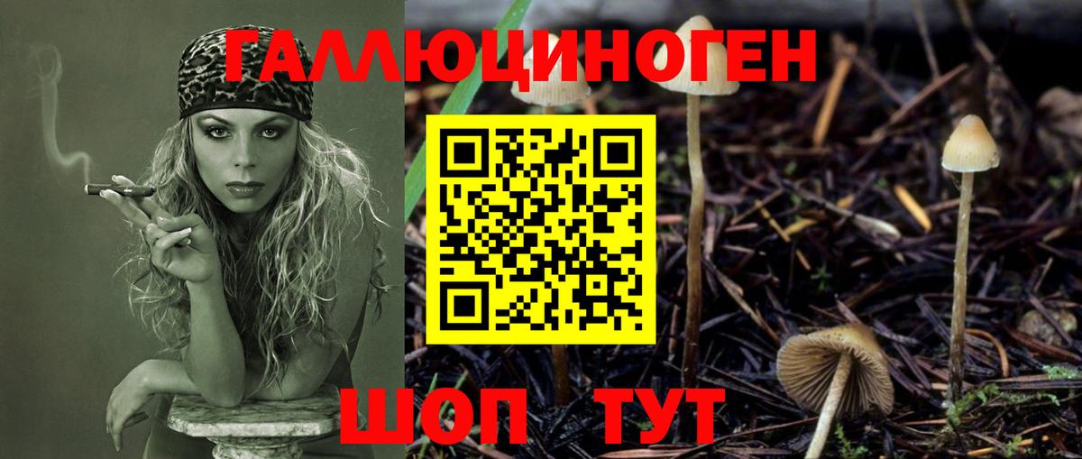 Малгобек  Галлюциногенные грибы GOLDEN TEACHER  Вход с VPN  Галлюциногенные грибы Cubensis 